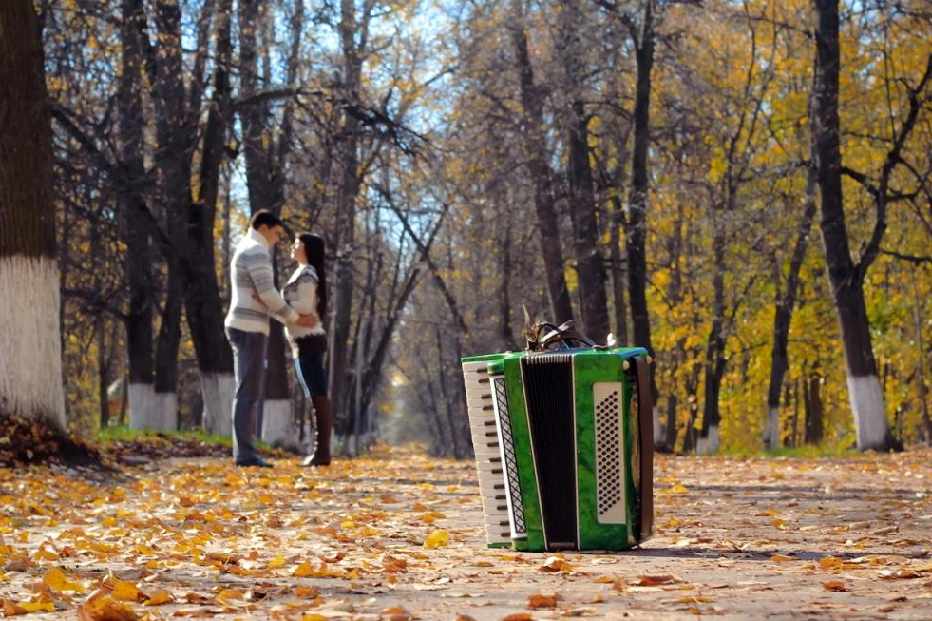 Играй осенью. Осенний аккордеон. Аккордеон в парке. Гармонь на природе. Баян осень.