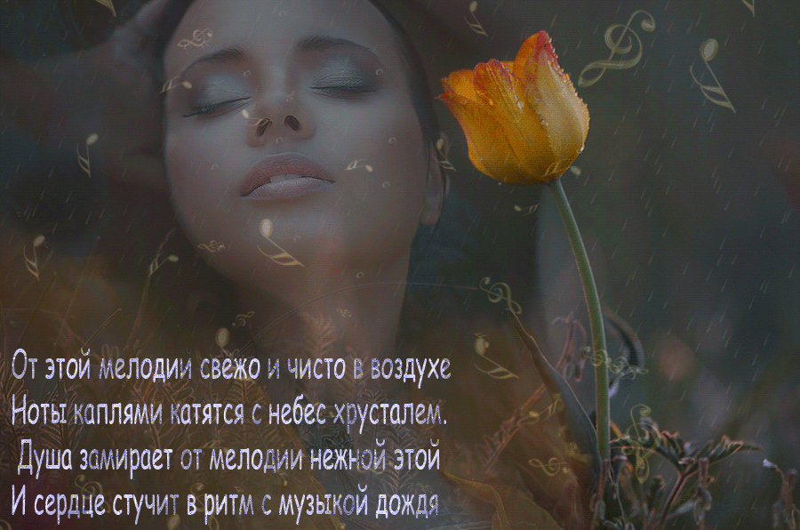 Песня слышишь автор. Душа моя стихи. Поэзия моей души. Стихи про дождь и любовь. Нежность души.