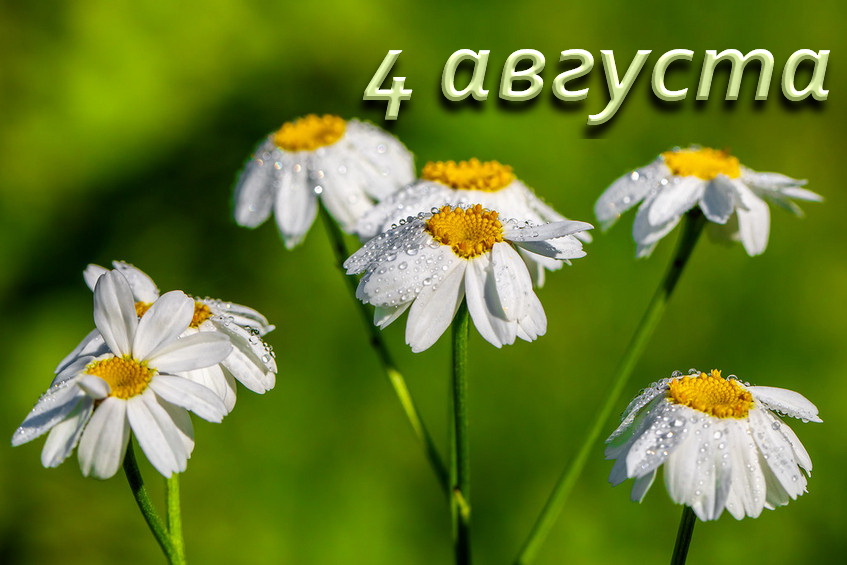 4 Августа Фото