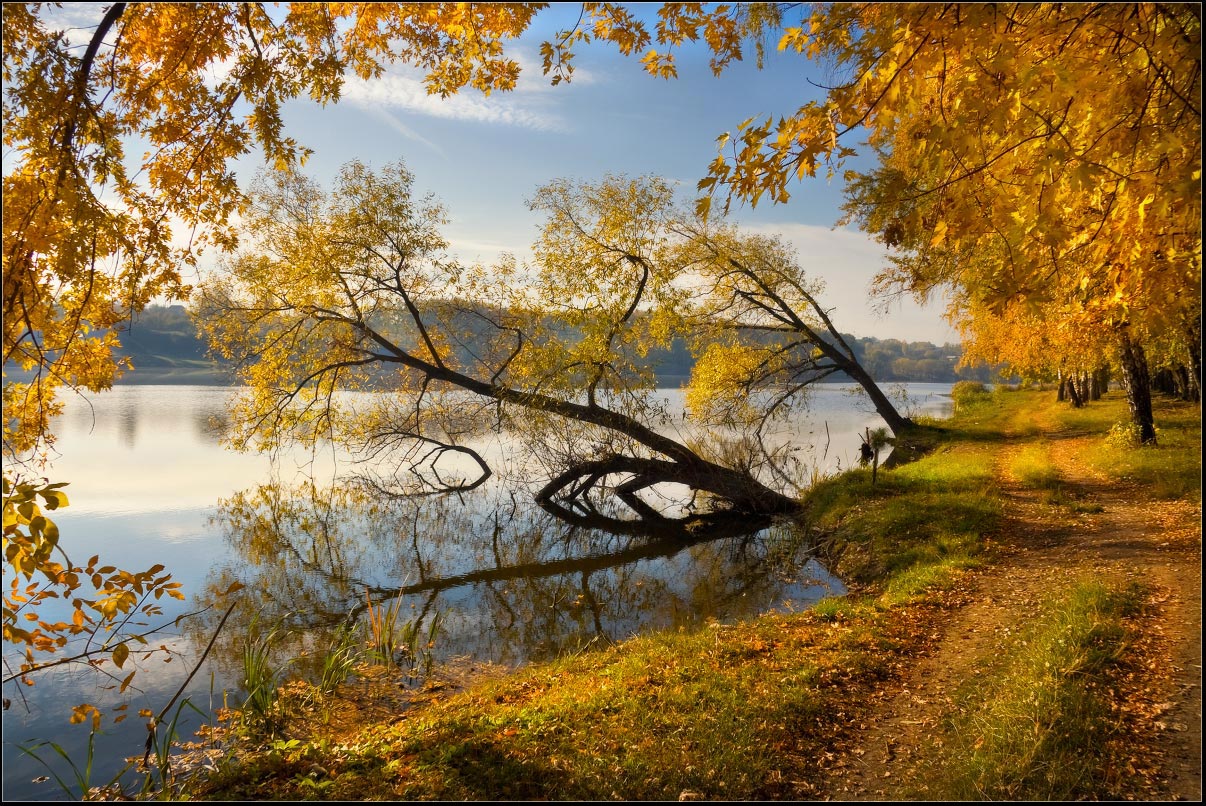 Осеннее богатство. Осенняя природа. Красивая осень. Золотая осень. Пейзаж осени.