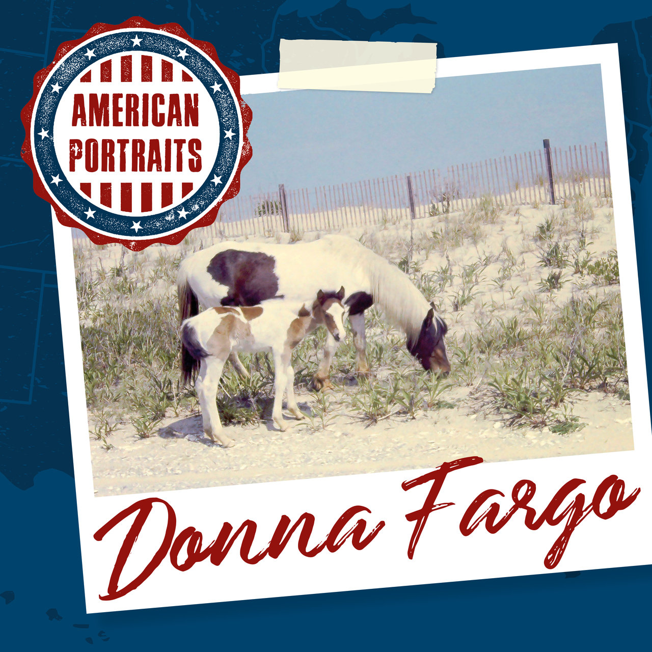 Donna Fargo - American Portraits Donna Fargo (2020) .