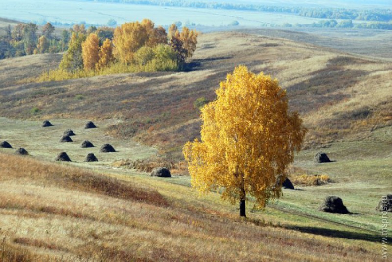 Картина есть в осени первоначальной