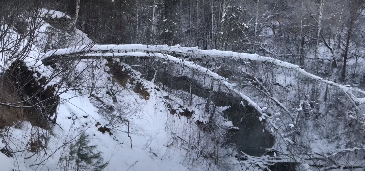 Нижняя Ельцовка Новосибирск Фото