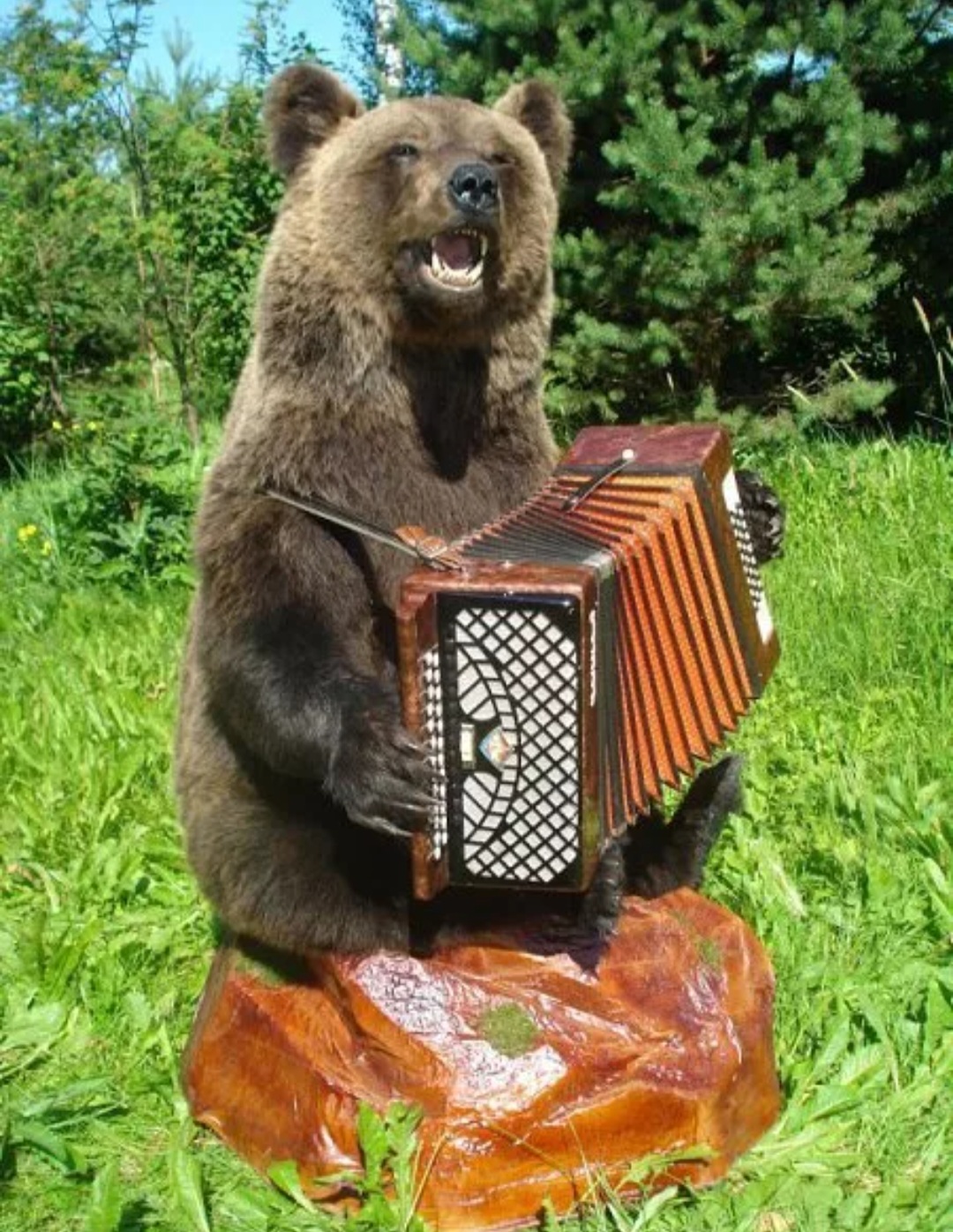 Я пою медведь. Медведь с балалайкой. Медведь с гармонью. Медведь с баяном. Медвежонок с гармошкой.