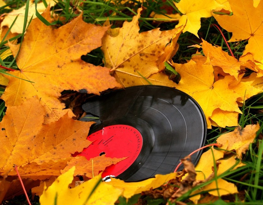 Пластинка в осенних листьях. Осенний патефон. Осенний граммофон. Гитара в листьях. Под шум осенней желтой листвы песня